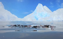 Choáng váng khi 1 lít băng Bắc Cực chứa 234 mẩu rác