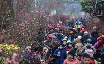 Dân Hà Nội đổ xô ra chợ hoa mua đào chơi Tết