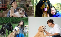 Điểm danh các nghệ sĩ Hoa ngữ tình nguyện làm 'sen cho chó'