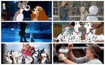 Năm Mậu Tuất xem 6 phim về những chú chó đáng yêu