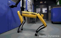 Chó robot biết mở cửa và dùng chân giữ cửa như thật