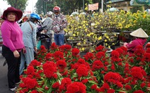 Trưa 30 tết nhiều điểm bán hoa ở TPHCM quyết không giảm giá
