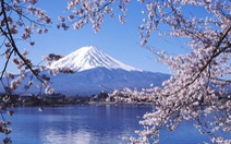 Ngắm Phú Sĩ - ngọn núi nổi tiếng nhất Nhật Bản