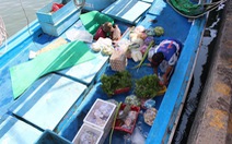 Nhiều tàu cá mang bánh chưng củ kiệu ra khơi xuyên Tết