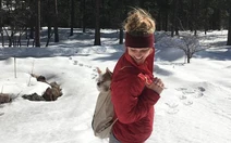 1.001 cách mang thú cưng đi chơi cùng chủ