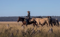Người phụ nữ chinh phục tuyến đường mòn dài nhất Úc