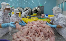 Bộ Công thương đề nghị Mỹ xem lại thuế chống bán phá giá cá tra
