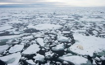 Videographic hiểm họa từ băng tan ở hai cực