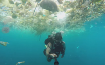 Rùng mình bơi qua 'biển rác' ngay sát thiên đường du lịch Bali