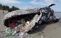 Cá nhà táng chết vì nuốt quá nhiều rác nhựa