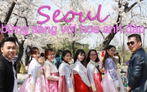 Seoul bừng sáng với hoa anh đào