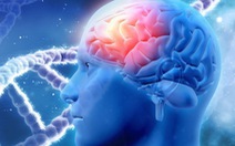 Tổn thương não nhẹ cũng tăng nguy cơ bệnh Parkinson
