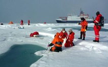 Báo động vụn nhựa trong băng Bắc Cực