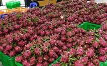 MM Mega Market Việt Nam xuất khẩu nông sản sang Thái Lan