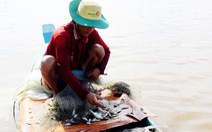 Người Việt giỏi nghề cá