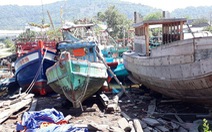 Kiên Giang chấm dứt việc giao bãi bồi ven biển cho hợp tác xã