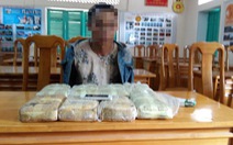 Phá đường dây chuyển 48.000 viên ma túy từ Lào vào Việt Nam