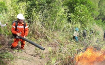 Nghệ An: Cháy rừng thông lây lan ở 3 huyện