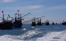 EU kéo dài cảnh báo thẻ vàng với hải sản VN đến tháng 1-2019