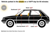 Xe hơi để ngoài trời nắng nóng có thể gây chết người trong vòng 1 giờ