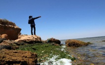 WWF: Địa Trung Hải sắp trở thành 'biển nhựa'