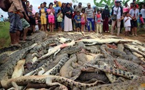 Đám đông giận dữ giết gần 300 con cá sấu để trả thù cho hàng xóm