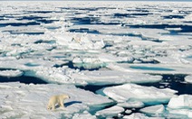 Các di chỉ khảo cổ ở Bắc Cực đang chìm dần