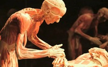 Tranh luận quanh triển lãm về cơ thể và nội tạng người