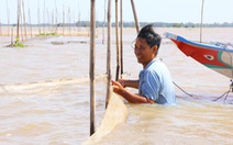 11 thủy điện từ Trung Quốc làm giảm 50% phù sa lưu vực sông Mekong