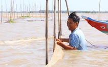 Lũ kết hợp triều cường ở Đồng bằng sông Cửu Long có thể dâng cao nhất trong bốn năm qua