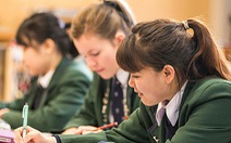 New Zealand có học bổng nào cho sinh viên?