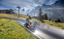 Trượt máng trên đỉnh núi cao Thụy Sĩ