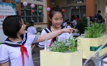 Học sinh tiểu học thiết kế vườn rau sạch trong trường