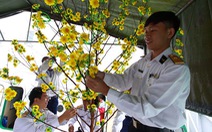 Nghệ sĩ cùng chiến sĩ hải quân gói bánh chưng, trang trí mai vàng đón Tết