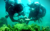 Hai nữ kỹ sư “trồng rừng” dưới đáy biển