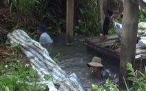 Video: Người dân ngăn dòng, lấp kênh vì lo sợ nguồn nước ô nhiễm