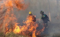 Tìm ra phương pháp phòng chống cháy rừng thân thiện với môi trường