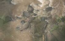 6 con voi mất mạng vì rơi xuống thác nước