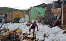 Làm khẩn cấp 900m kè biển bị sóng cuốn trong bão để bảo vệ 111 hộ dân