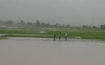 Video: Hơn 300 ngôi nhà bị ngập do bão số 6 gây ra ở Đắk Lắk