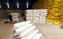 Kiên Giang, Long An kiến nghị xem xét lại việc tạm dừng xuất khẩu gạo