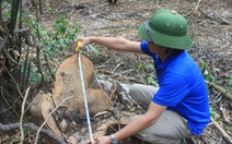 Video: Phá rừng tràn lan ở huyện miền núi Bá Thước
