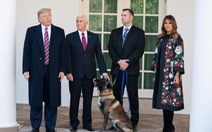 Ông Trump trao huân chương cho chó Conan hỗ trợ tiêu diệt trùm IS