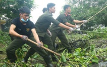 'Phong trào tình nguyện trở thành phẩm chất, đặc trưng của thanh niên'