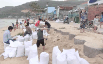 Video: Người dân hối hả xúc cát đè lên mái nhà đối phó với bão số 6