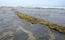 Nước biển đen như cà phê ở Dung Quất có nồng độ pH vượt mức cho phép