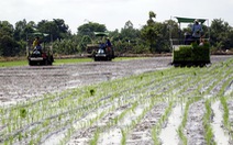 'Mở đường' cho nông dân làm giàu