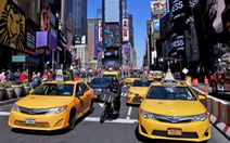New York hướng dẫn tài xế taxi cách xưng hô tránh xúc phạm khách
