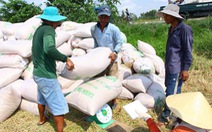 Trung Quốc áp thuế cao, xuất khẩu gạo Việt gặp khó