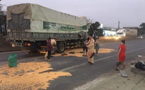 CSGT cùng người dân giúp tài xế thu gom ngô đổ ra đường sau tai nạn